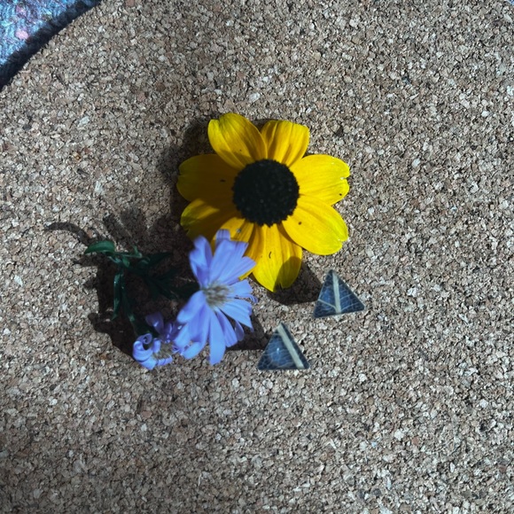 Resin leaf motif earrings with gold leaf - Picture 1 of 1